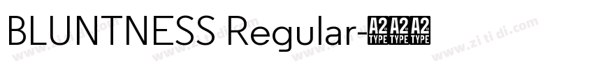 BLUNTNESS Regular字体转换